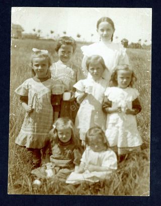 Vintage Photo - Adorable Scene Of A Group Of Young Girls In Field - 1920/30 