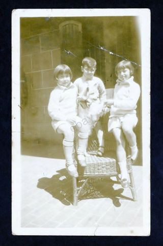 Vintage Photo - Charming Image Young Children With Their Pet Dog Westie? - 1930 