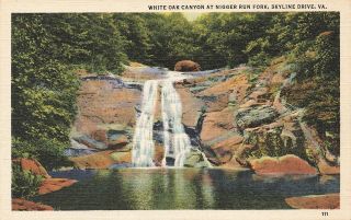 Vintage Postcard White Oak Canyon Nigger Run Fork Skyline Drive Virginia Racist