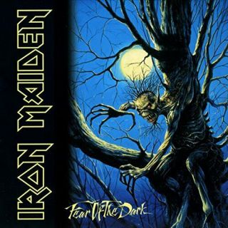 Fear Of The Dark (2 - Lp Set,  180 - Gram Vinyl) Iron Maiden Up The Irons