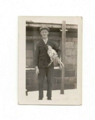 Vintage Snapshot Funny Photo - Man Holding Large Rooster / Chicken 2.  5 " X 3.  5 "