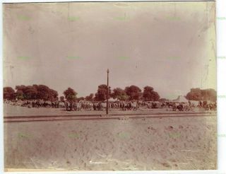 Old Military Photograph British Artillery Camp India ? Vintage C.  1900