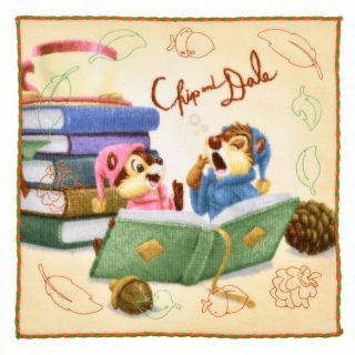 Disney Store Japan Chip & Dale Mini Towel Embroidery Lead Book From Japan