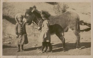 Vintage Rppc 2 Girls With Donkey And Foal Baby Estes Park Colorado Circa 1908