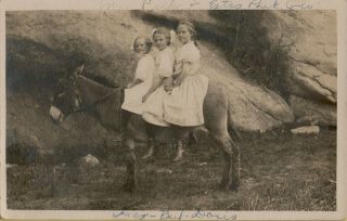 Vintage Rppc 3 Girls Sitting On A Donkey Estes Park Colorado Circa 1908 Velox Db