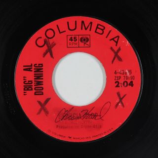 R&b Rocker 45 - Big Al Downing - Georgia Slop - Columbia - Mp3