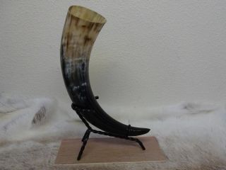 Large Size Viking Drinking Horn & Iron Stand Camping Re - Enactment Stage Larp B1