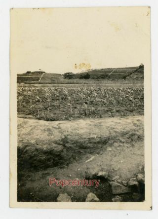 China 1934 Photograph Chefoo Us Navy Terrace Farming Landscape View Yantai