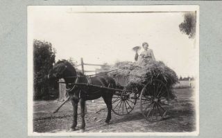 Old Photo Pretty Woman Glamour Fashion Farming Horse Cart Australia 1910s F4