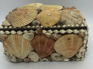 Vintage Handmade Handcrafted Sea Shell Jewelry Box