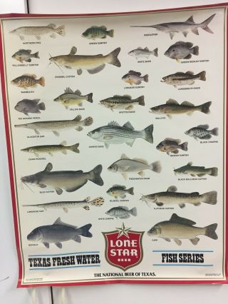 Vintage Lone Star Beer Texas Fresh Water Fish Poster,  23 " X 29 "