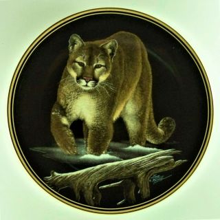 Cougar Plate Nature 