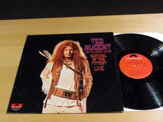 Ted Nugent And The Amboy Dukes Survival Of The Fittest Live Polydor Stereo Nm -