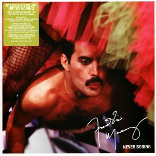 Freddie Mercury Queen Lp Never Boring 2019 Heavyweight Vinyl Album,  Downloads