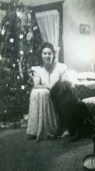Ac655 Vintage Photo Woman With Scruffy Dog By Christmas Tree C 1940 