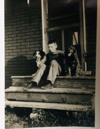 Small Vintage Photo Boy And His Dogs