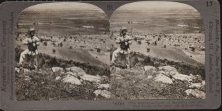 Marathon,  Greece 1906.  Stereoview Of The Ancient Battlefield With Greek Marine