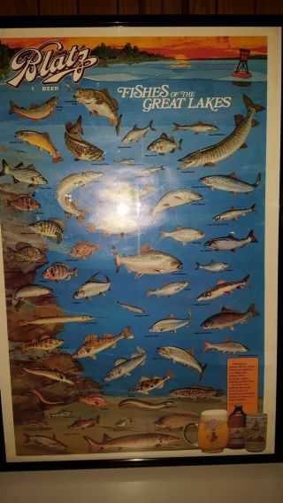 Blatz Beer 1987 Poster " Fishes Of The Great Lakes ".  23 " X 35 "