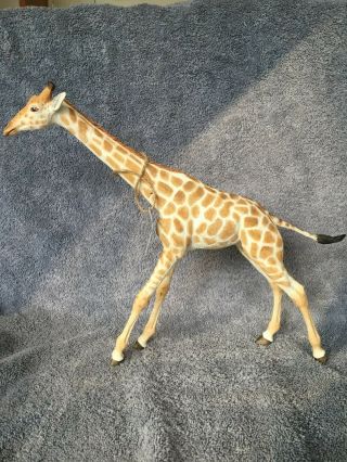 Country Artist A Breed Apart Large Running Giraffe Cao3372