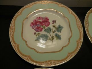 4 ANDREA by SADEK Plate WINTERTHUR Adaption Flower Theme Gold Accents Green 2