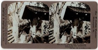 Geo.  W Griffith Stereoview Card The Arduous Task Of Delivering Milk In The Aps