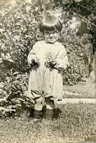 Na71 Vtg Photo Small Child Picking Flowers C Early 1900 