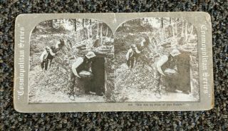 Antique 1900 Era Cosmopolitan Series Stereoscope Cards 555 Dis Am De Pick Of Dat
