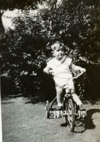 Ac243 Vtg Photo Little Boy Riding Tricycle C Mid Century