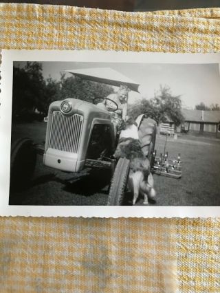 Vintage Photo Ford Jubilee Tractor Woman And Collie