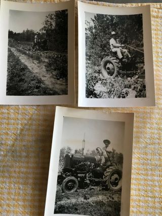 3 Vintage Photo Farmall Cub Tractor W Cultivator