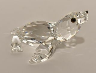 Swarovski Crystal Figurine - Baby Sea Lion Pup -