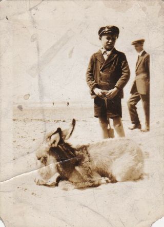 Unusual Old Photo Children Boy Uniform Beach Donkey Foal Seaside W8