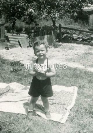 Y839 Vtg Photo Little Boy Blanket Holding Monkey Toy C 1940 