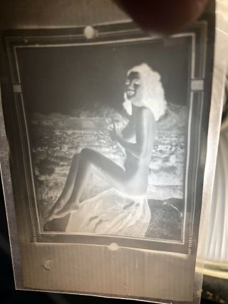 Vintage 1940 - 196o’s Photograph Negatives Risque Poses & Porn