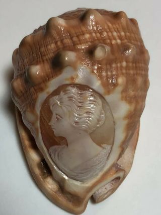 Vintage Hand Carved Cameo Image Shell Conch Seashell Handmade Italian Italy Lady