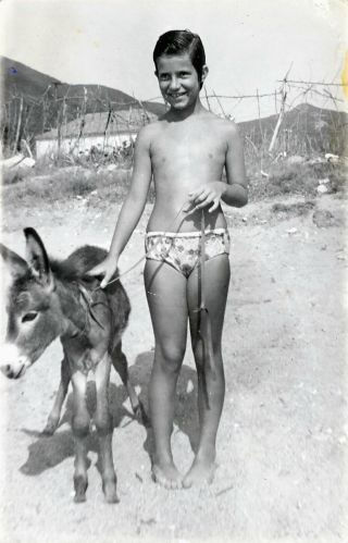 Vintage Photo Cute Girl And Cuddly Baby Donkey At The Beach Snapshot