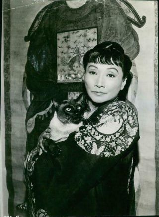Vintage Photograph Of Anna May Wong Returns To Films After A 17 - Year Retirement