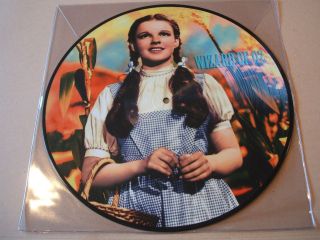 Various ‎– The Wizard Of Oz Ost 12 " Vinyl Picture Disc Lp Unplayed