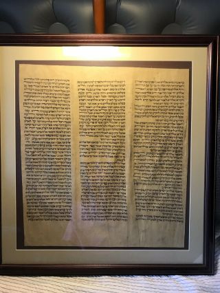 Prof Framed Torah Scroll Fragment.  Morocco 350 Yrs Old Creation Narrative Gen.