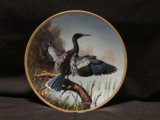 W S George Decorative Bird Art Plate - The Anhinga - 1989 - James Faulkner