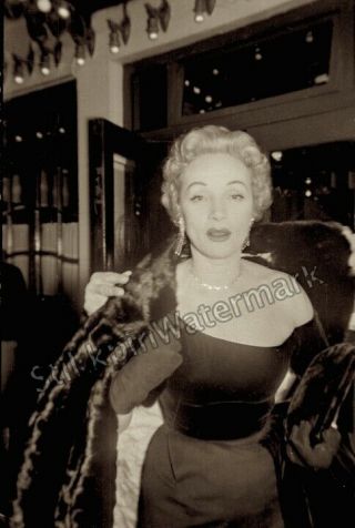 1950s Photo Negative Marlene Dietrich Actress Movie Star Singer Bedroom Eyes Nyc