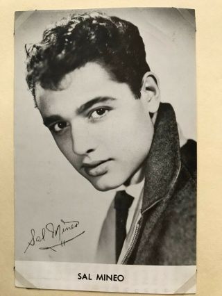 Authentic Sal Mineo Signed In Person Autograph On B&w Photo 14cm X 9