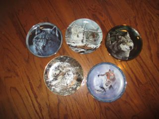 5 Different Wolf Limited Edition Collectible Plates 8 " Diameter - - 1993 - 1995