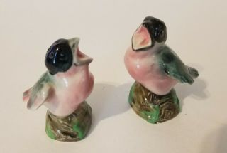 Vintage Hand Painted Baby Birds Salt Pepper Shakers Japan Retro