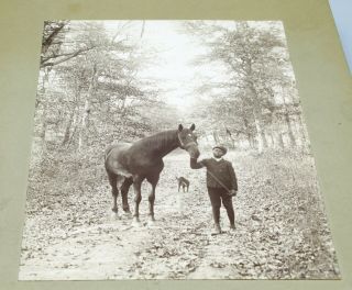 Vintage Photograph Young African American Man With Horse And Dog