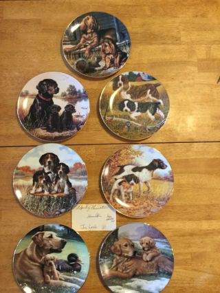 Hamilton Collector Plate - Jim Lamb Sporting Dog Generation