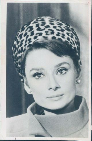 1970 Photo Audrey Hepburn Dancer Model Actress Humanitarian Celebrity 5x8