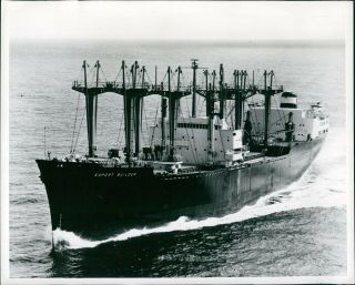 1962 Photo Ship Ss Export Builder Cargo Lines Fleet Us Flag Atlantic 8x10