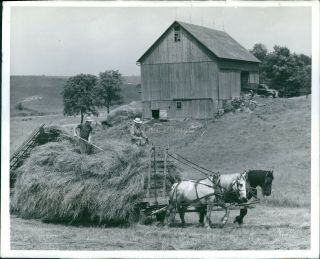 1943 Bumper Crops Conservation Farm Cd Blubaugh Hay Field Horses Photo 8x10