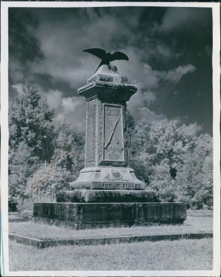 1964 Natural Beauty Memorial Battle Bridge Fl Seminary Eagle Stone Photo 8x10